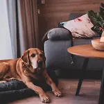 Monteverde W świeradowie-zdroju Apartament Świeradów-Zdrój