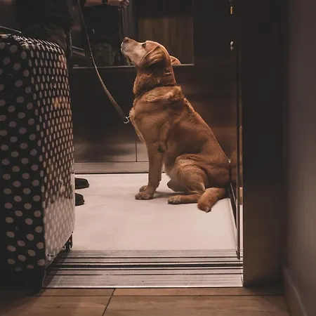 Apartmán Monteverde W Swieradowie-zdroju Świeradów-Zdrój