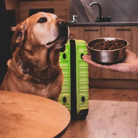 Monteverde W Swieradowie-zdroju Świeradów-Zdrój