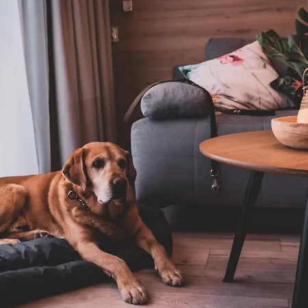 Monteverde W Swieradowie-zdroju Appartement Świeradów-Zdrój