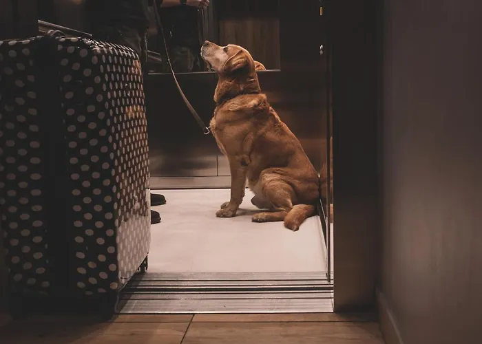 Apartmán Monteverde W Swieradowie-zdroju Świeradów-Zdrój