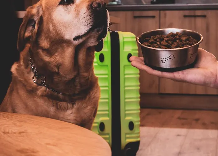 Monteverde W Swieradowie-zdroju Świeradów-Zdrój